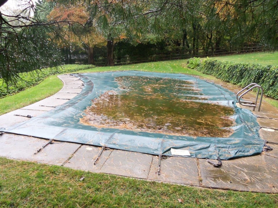 Tannins and Organic Staining in Pools